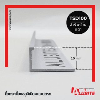คิ้วอลูมิเนียมตรง 10 มม.ความยาว 2.0 เมตร ยี่ห้อ Alusite