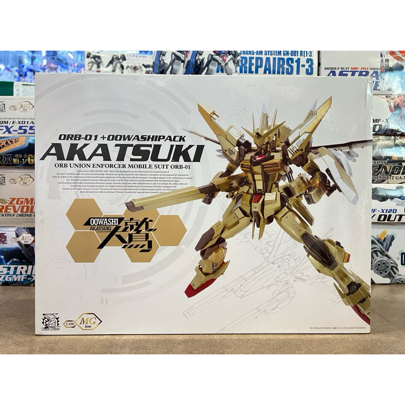 Mg 1/100 Akatsuki Dargon Momoko
