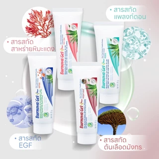 [หลอดใหญ่] Burnova Gel Plus Aloe Vera/Plnkton/Dragon’s Blood/Snow Algae เบอร์นโนว่า เจล พลัส อะโลเวล่า/แพลงก์ตอน/ดราก้อน