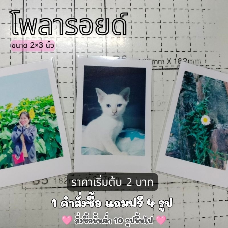 รูปโพลารอยด์​เริ่มต้น 2 บาท​