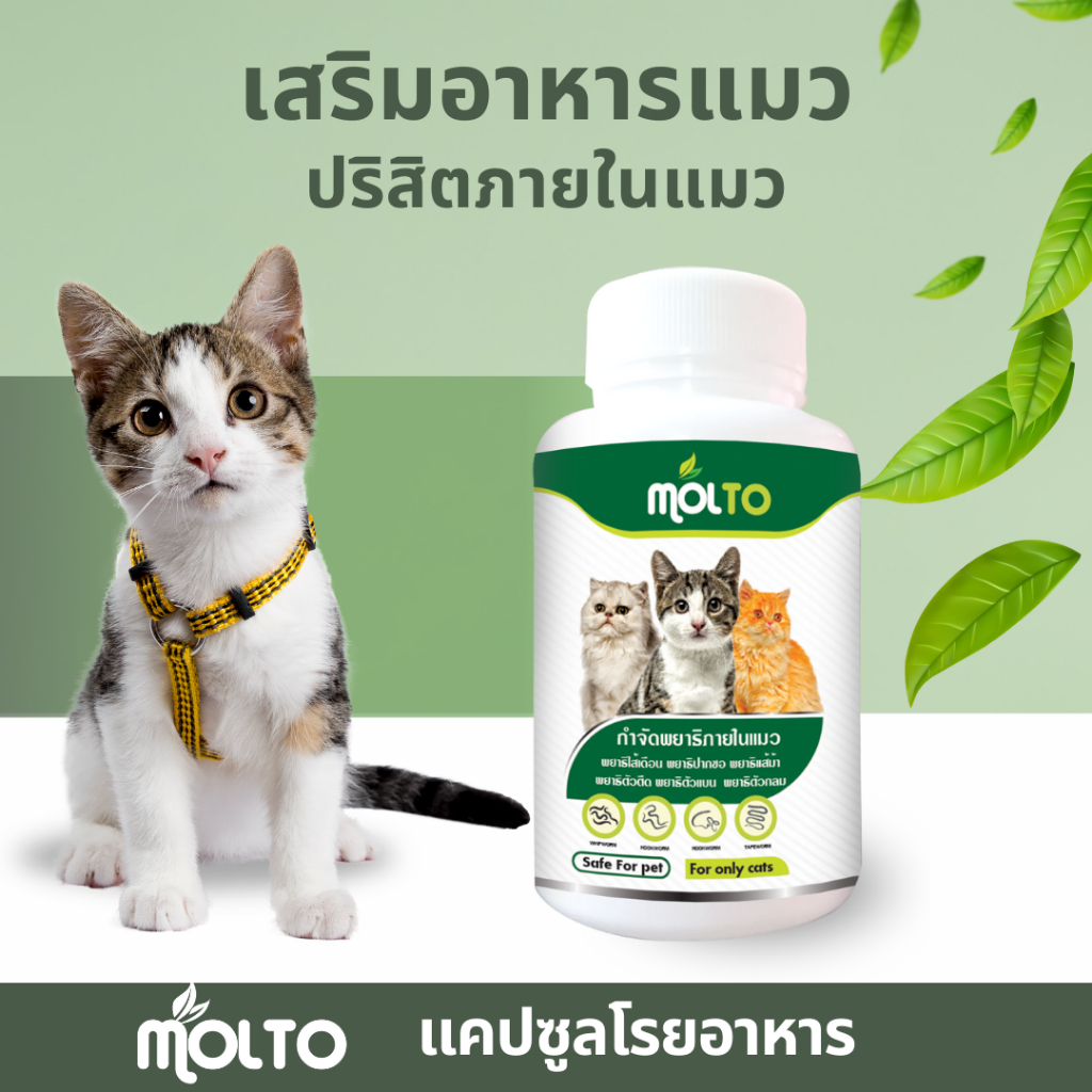 เสริมภูมิต้านทานแมว ป้องกันปรสิตภายในแมว ขนสวย เงางาม