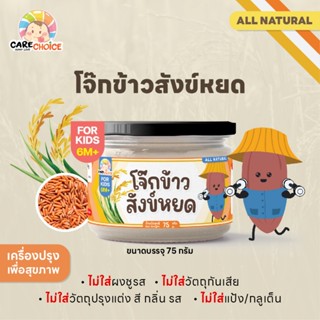 C273 แคร์ช้อยส์ โจ๊กข้าวสังข์หยด โจ๊กเด็ก 6 เดือน บดละเอียด …