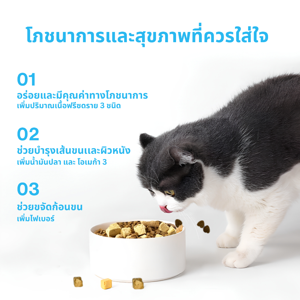 MR.VET มิสเตอร์เวท อาหารแมว Holistic T1-T2 เพิ่มOmega-3 ผสมฟรีซดราย3ชนิดขนาด300g - รูปที่ 4