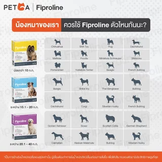 Fiproline Spot on [6 กล่องบรรจุ 12 หลอด] สำหรับสุนัขและแมว ชนิดหยดหลัง กำจัดเห็บหมัด