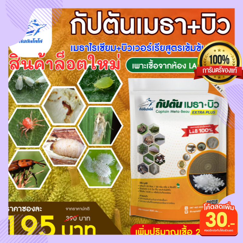 เชื้อราบิวเวอร์เรีย เชื้อราเมธาไรเซียม  แบบผงผสมน้ำใช้ได้เลย (ขนาด 500กรัม)