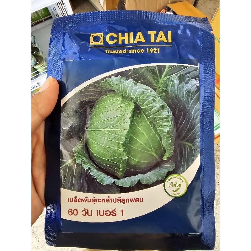 เมล็ดกะหล่ำปลี 60 วัน เบอร์ 1 ขนาด 20 กรัม ตรา เจียไต๋ หวาน กะหล่ำปลี