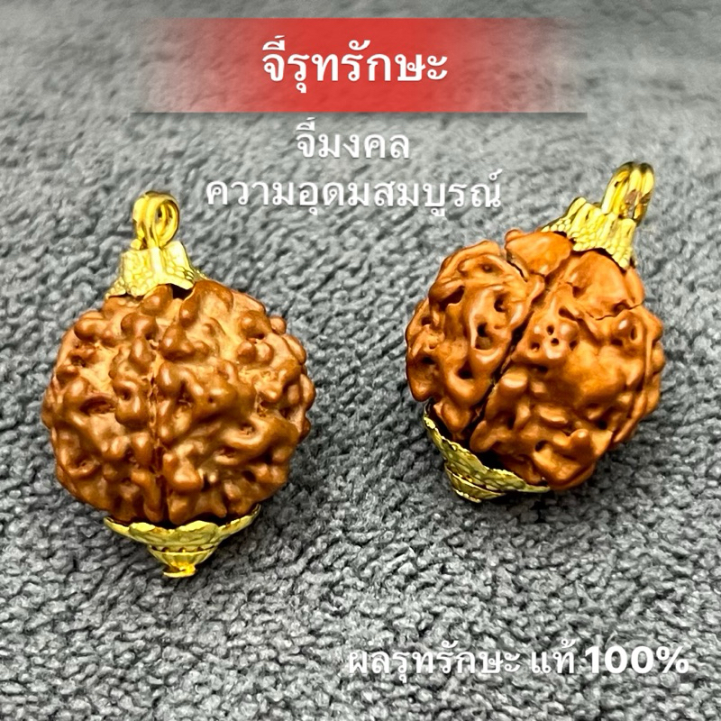 จี้น้ำตาพระศิวะ รุทรักษะแท้💯 เครื่องรางมงคลจากอินเดีย