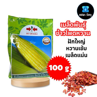 (100 กรัม) แบ่งถุง เมล็ดข้าวโพดหวาน จัมโบ้สวีท F1 ตราศรแดง ข…