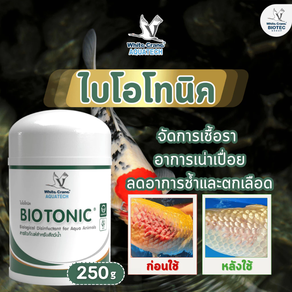 BioTonic ไบโอโทนิค ผลิตภัณฑ์สำหรับจัดการอาการที่เกิดจากเชื้อราและอาการเน่าเปื่อย ขนาด 250 กรัม