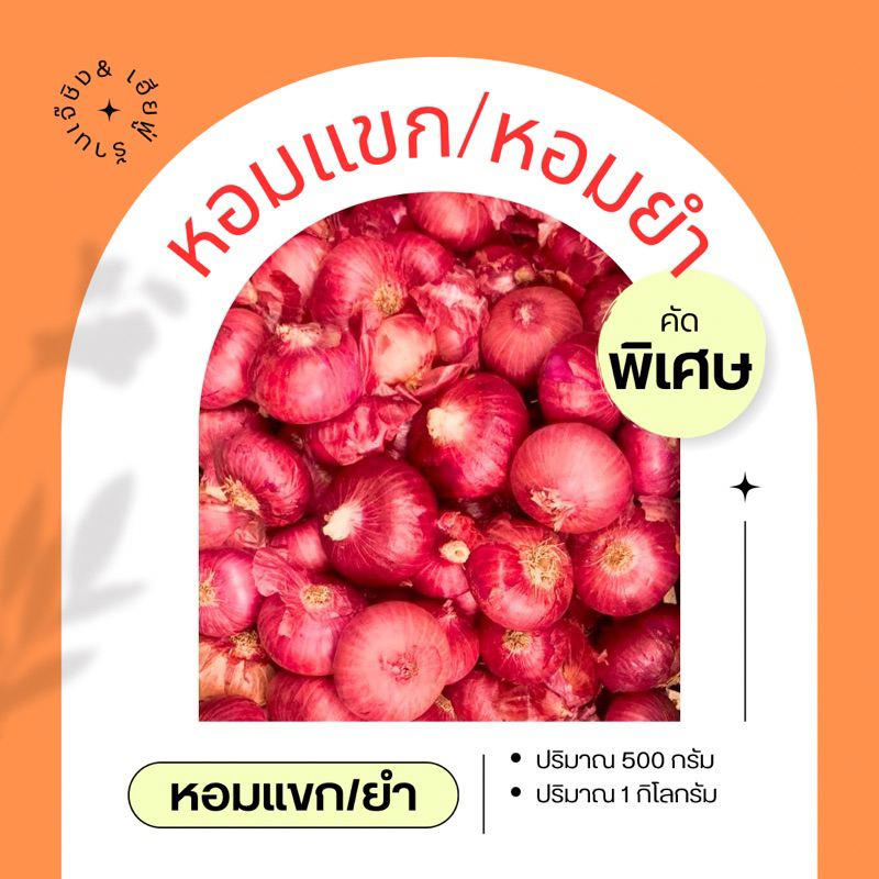 รูปภาพ 3