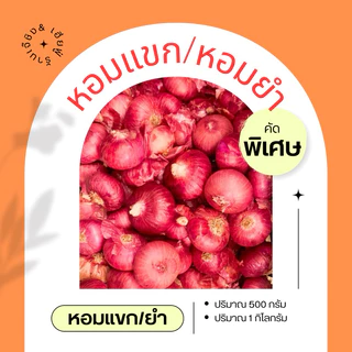 หอมแขก หอมแขกหรือหอมยำ ลาบ หอมแขกคัดสวย ผิวสวย เนื้อแน่น