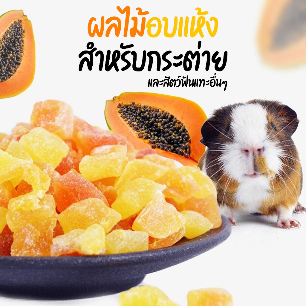 ผลไม้อบเเห้ง ผลไม้เสริมวิตตามิน แฮมเตอร์ ชูการ์ กระต่าย เเก๊สบี้ กะรอก น้ำตาลน้อย มีกากใยอาหารช่วยในเร่ิืองการขับถ่าย