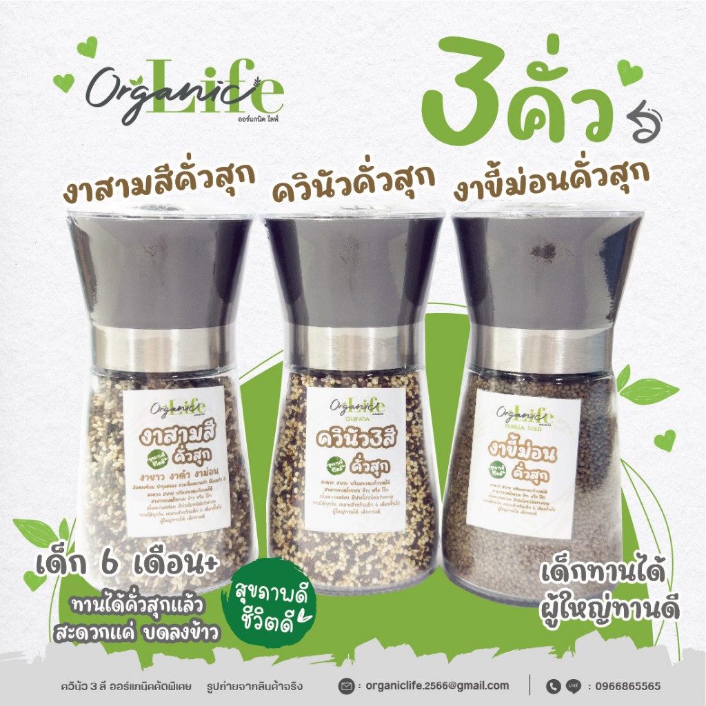 (พร้อมส่ง 3 คั่ว) ควินัวคั่วสุก งาขี้ม่อนคั่วสุก งาสามสีคั่วสุก ขวดแก้วบดปรับระดับได้