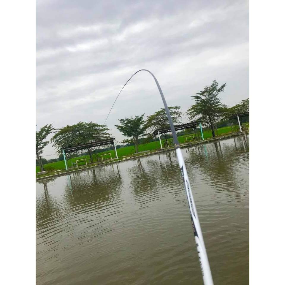 คันชิงหลิว ราคาถูก แพ็คสั้น (ส่งคละสี)