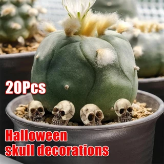 20ชิ้น โมเดลหัวกะโหลกเรซิ่น ขนาดเล็ก DIY สําหรับตกแต่งบ้านผีสิง ฮาโลวีน