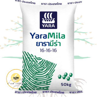 ปุ๋ย ยารามีร่า สูตร 16-16-16 ปริมาณ 300 กรัม และ 500 กรัม