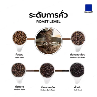(1 กก.) Bluekoff A4.5 Medium-Dark Roast เมล็ดกาแฟไทย อราบิก้า 100% Premium เกรด A จำนวน 1 กิโลกรัม (250 กรัม x 4 ถุง)