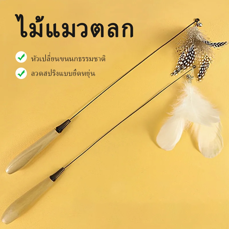 ของเล่นแมว ไม้ตกแมว ไม้ตกแมวแบบสปริง ไม้แมวตั้งพื้นขนนก ไม้ล่อแมว ไม้แหย่แมว