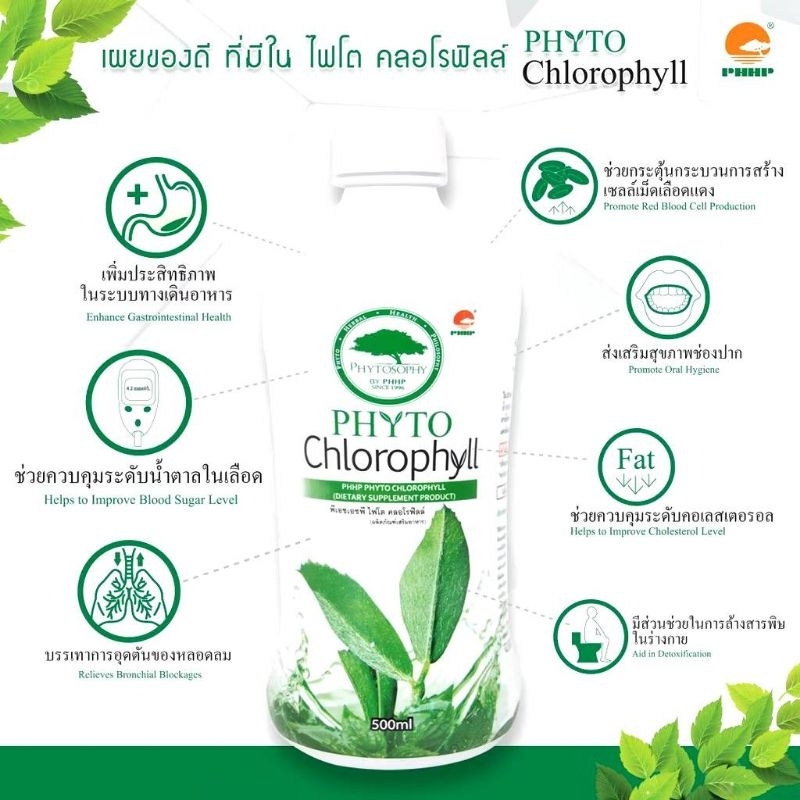 phyto  chlorophy  ไฟโต คลอโรฟิลล์ PHHP  ของแท้ 100%500/ขวด