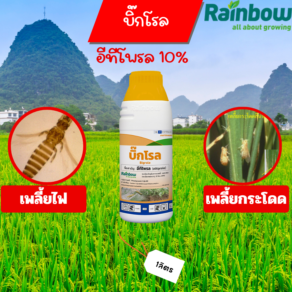 บิ๊กโรล อีทิโพรล 10% W/V SC ขนาด 1 ลิตร