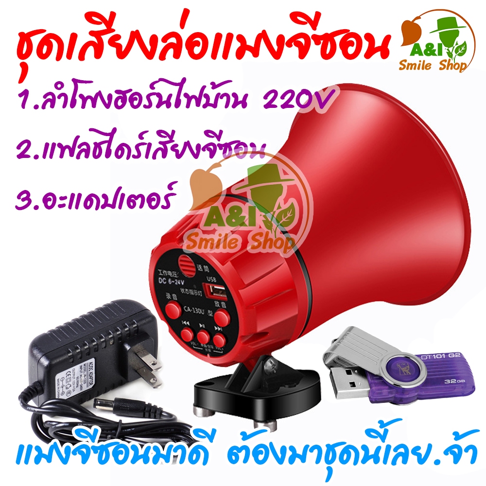 รูปภาพ 8