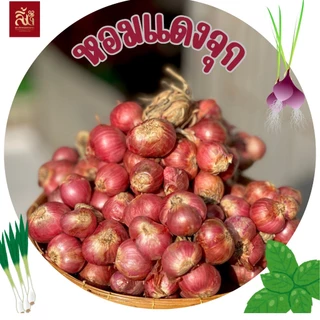 หอมแดงจุก คุณภาพดี เม็ดโต ขนาด 1 กิโลกรัม