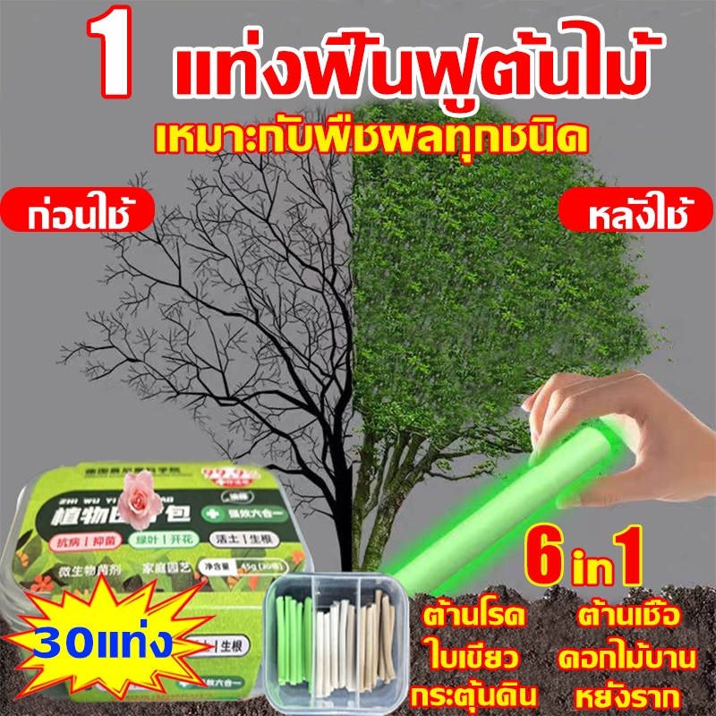 1แท่งฟื้นฟูต้นไม้ ยาเร่งราก 6in1 เหมาะกับพืชผลทุกชนิด ปุ๋ยเร่งราก 100% ได้ผล อ่อนโยนไม่ระคายเคือง ปุ๋ยเร่งโต