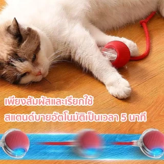 QQPET ของเล่นแมว ลูกบอลแมวอัติโนมัติ สมาร์ทไฟฟ้า หมุนได้ ของเล่นแมวโต้ตอบ