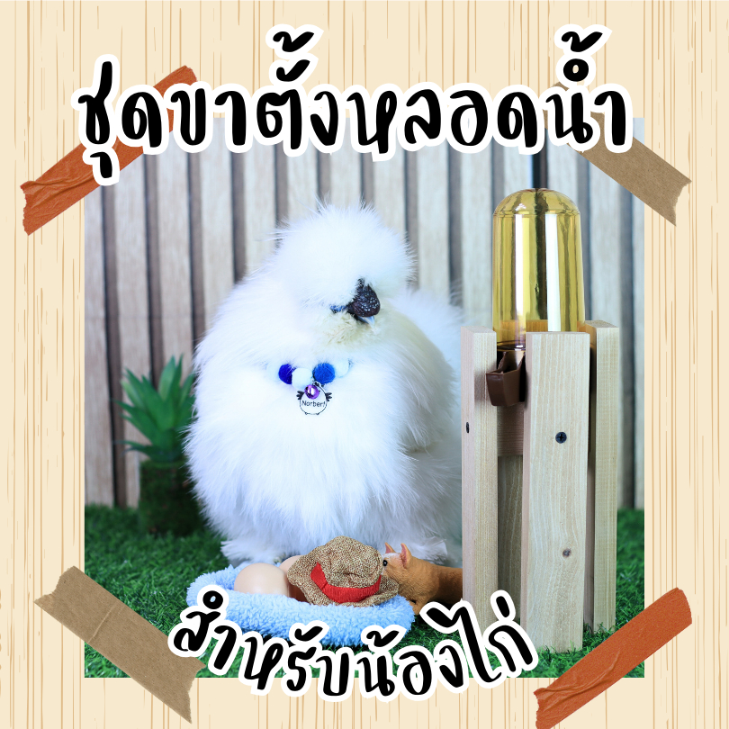 ชุดขาตั้ง ขวดน้ำ - หลอดน้ำสำหรับน้องไก่