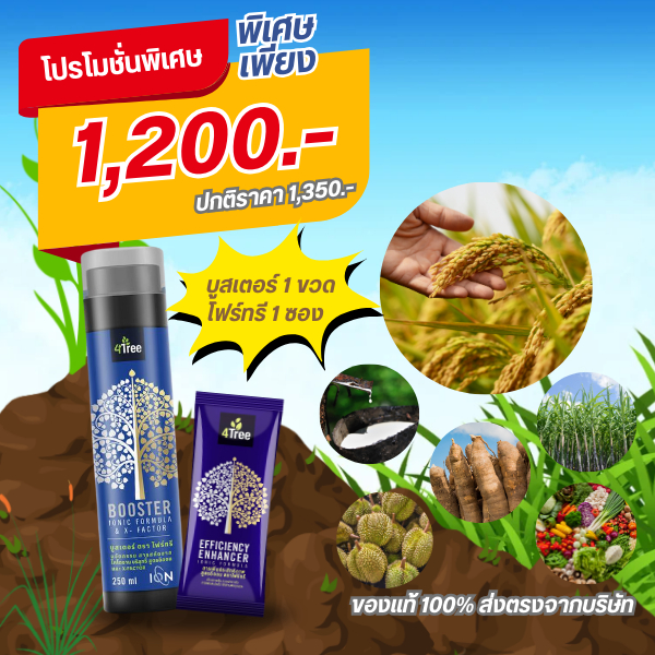 4tree(โฟร์ทรี) 1 ซอง +booster 1 ขวด ใช้ได้กับพืชพันธ์ุทุกชนิด