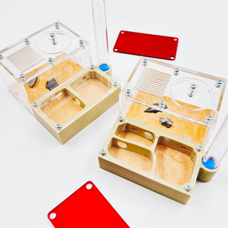 รังเลี้ยงมด 3D แนวนอน  ขนาด M พร้อมหลอดทำความชื้น - Donatic …