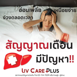 โปร6แถม3 Liv Care ลีฟแคร์ อาหารเสริม ดูแลตับ ค่าตับสูง ลีฟแคร์1 กล่อง 10 เม็ด