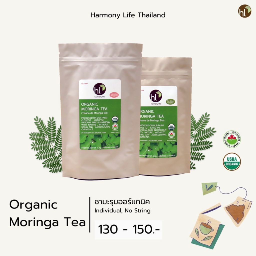 ชามะรุมออร์แกนิค (Organic Moringa Tea)