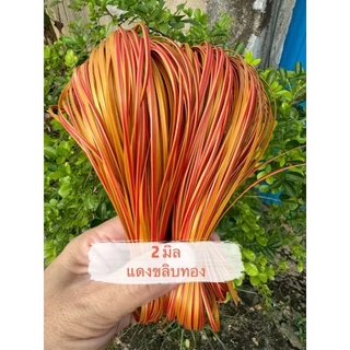 เส้นหวายเทียมขนาด2มิล