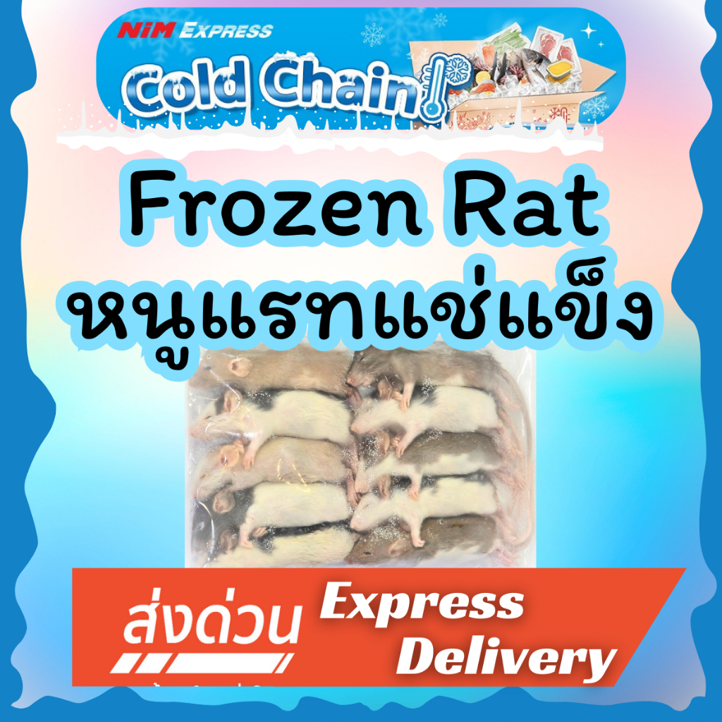 หนูแรท รวมไซส์ SS-L (Rat SS-L) แพ็ค 10 ตัว หนูแช่แข็ง อาหารแช่แข็ง หนูเหยื่อ Frozen Mice