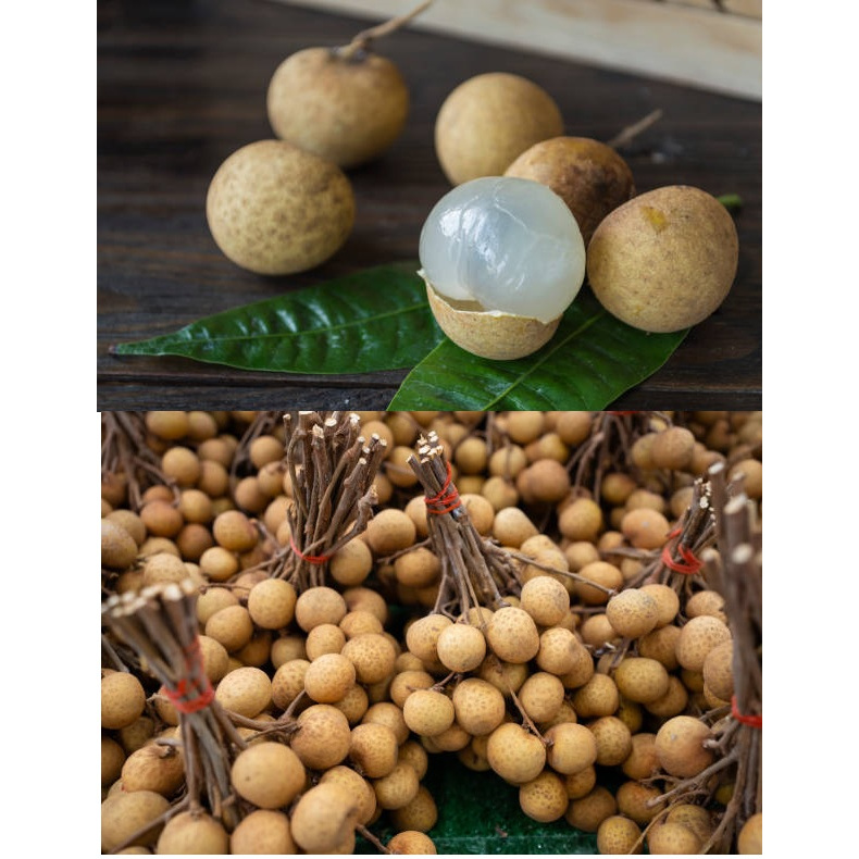 ลำใยสด ลำใย (คัดเกรด+มีส่งด่วน)ลำใยกะโหลก ลำใยอีดอ