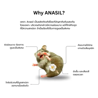 Anasil Cream อนาซิล แบริเออร์ ครีมแก้ปัญหาแสบก้น คันก้น