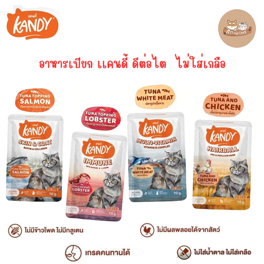 Kandy แคนดี้ อาหารเปียกแมว ไม่ใส่เกลือ ผลิตจากปลาเนื้อขาว ขนาด 70 กรัม