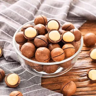 เจ แมคคาเดเมีย อบเนยเม็ดใหญ่เกรดพรีเมี่ยมA++ 500กรัม แถมที่แกะ macadamia สด ใหม่ กรอบ หอม มัน เกรดพรีเมี่ยมA++