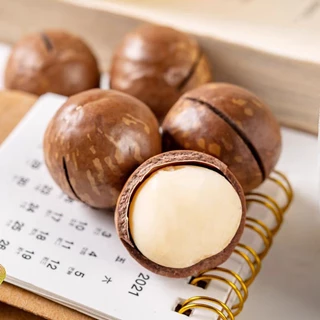 เจ แมคคาเดเมีย อบเนยเม็ดใหญ่เกรดพรีเมี่ยมA++ 500กรัม แถมที่แกะ macadamia สด ใหม่ กรอบ หอม มัน เกรดพรีเมี่ยมA++