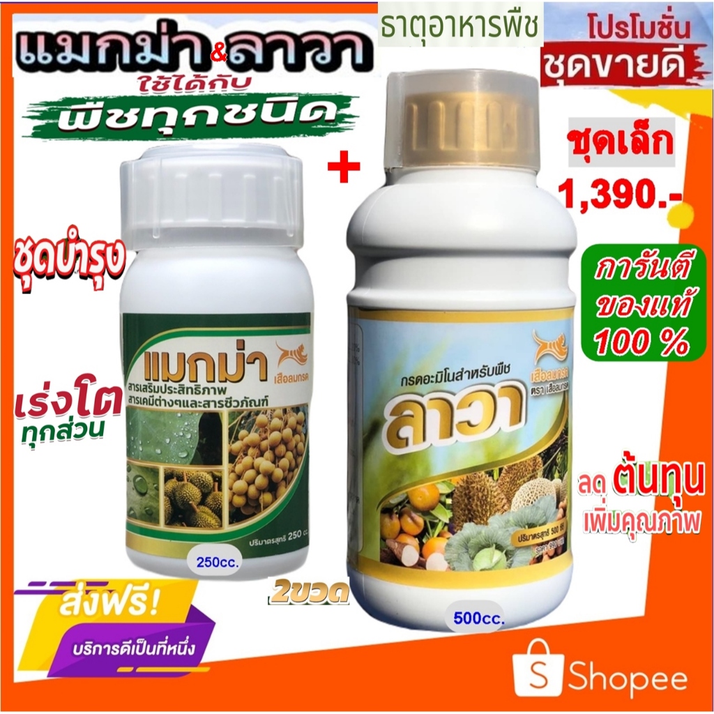 แมกม่า&ลาวา(ชุดเล็ก)สารจับใบแมกม่า1ขวดบรรจุ250ซีซีและปุ๋ยน้ำลาวา1ขวด500cc.ชุดเล็กสุดคุ้มสุดประหยัดได้มากกว่า20%