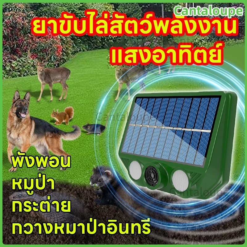 ส่งของจากไทย 10000เมตรไม่มีนก ก้อนไล่นกพิราบ ไม่เป็นอันตรายต่อหญิงตั้งครรภ์และเด็ก 360 ° อัลตราซาวด์ ขับไล่นก
