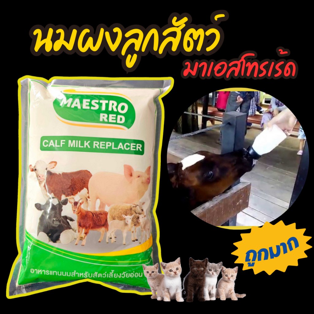 นมผงลูกสัตว์ Maestrored นมลูกวัว นมลูกสุนัข แมว แพะ แกะ ขนาด 1 kg มาเอสโทรเร้ด นมผงเลี้ยงวัว