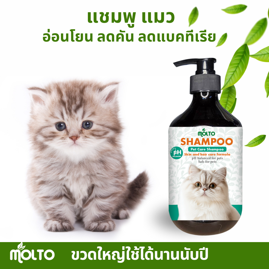แชมพู MOLTO สำหรับแมว ลดคัน ลดขนร่วง ดับกลิ่นตัว ปกป้องปัญหาผิวหนัง