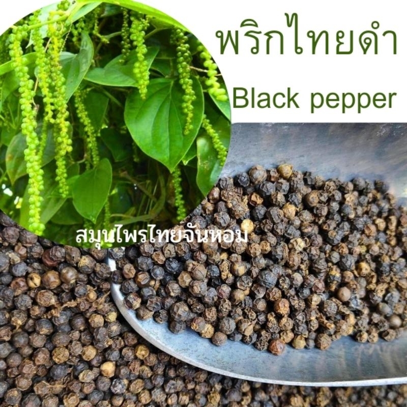 พริกไทยดำเม็ด พริกไทย  พริกไทยดำ คัดเกรดคุณภาพ Black Pepper Corn 500 กรัม