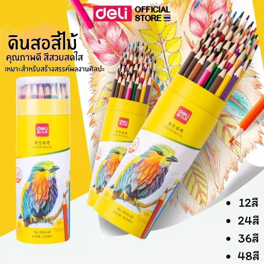 ดินสอสีไม้ 12/24/36/48 สี Deli ดินสอสีน้ำมัน สีไม้ รุ่นกระบอก กระปุก ไส้ใหญ่ สีเข้ม อุปกรณ์ศิลปะ