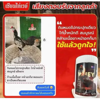 เวย์โปรตีนไก่ วิ่งทน บินดี เสริมกล้ามเนื้อ เล็บแข็งแรง เสริมภูมิคุ้มกัน ( โปร 2 กระปุก 400 เม็ด)
