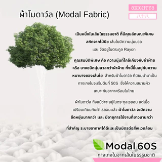 8eighty8 กางเกงในคนท้อง คุณเเม่ตั้งครรภ์ หลังคลอด ผ้าโมดาวล์ 60S นิ่มสบาย ระบายความร้อนชื้น