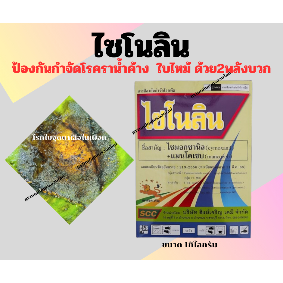 ไซโนลิน ขนาด1กิโลกรัม สารไซมอกซานิล+แมนโคเซบ 8%+64%WP สูตรผสมที่ลงตัว สำหรับการป้องกันกำจัดโรคพืช เช่น ตาเสือ ราน้ำค้าง