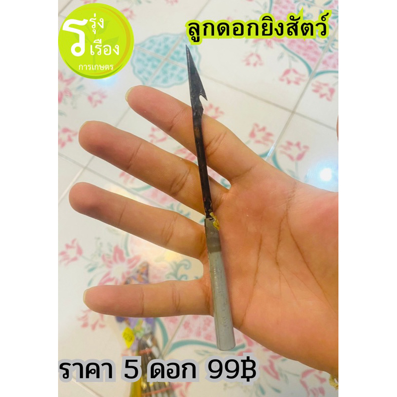 ลูกดอกยิงหนู ลูกดอกยิงนก 5 ลูก 99 บาท